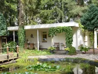 A Detached Bungalow with Outdoor Fireplace Covered Terrace and Pond in a Forest Plot