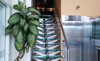 Hotel A&B Internacional