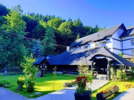 Casa Octavian Отели в г. Comuna Cacica