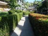 El Tropicano