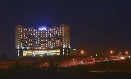 Aristo International Hotel