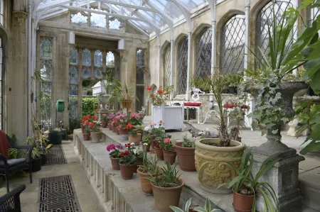 The Orangery Apartment