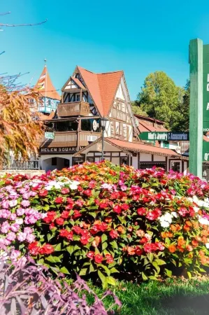 Nacoochee Valley Lodge Отели в г. Деморест