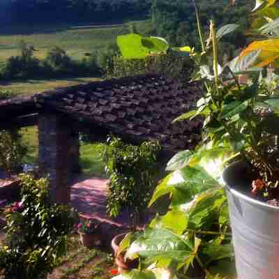 Podere Terreno Alla Via Della Volpaia Hotel Exterior