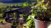 Podere Terreno Alla Via Della Volpaia - Homestays