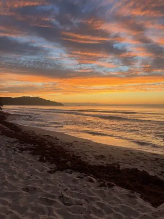 The Cove Hotel St Croix Отели рядом с достопримечательностью «Salt River Bay»