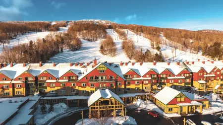 Grand Summit Resort Отели в г. Довер