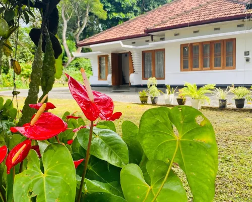 Happy Valley Residence Unawatuna Hotels in Unawatuna