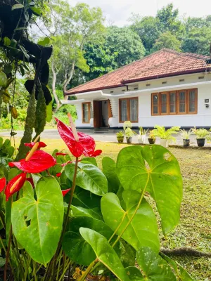 Happy Valley Residence Unawatuna Hotels near Rumasala Kanda