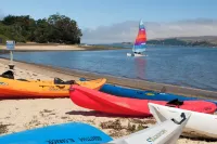 Tomales Bay Lodge and Marina Inc - Beach