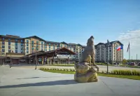 Great Wolf Lodge Webster Hotels in Webster