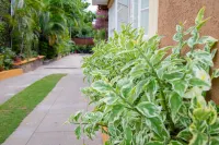 Centrally Located Guest Apartments