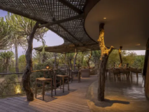 Euphorbia Mashatu 博博農酒店