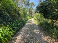 Liiiving in Porto - Quinta das Borboletas