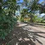 Private pool and Rancho, near Playa Pelada and Guiones Beach