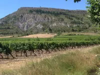 "the cottages of Alaric"