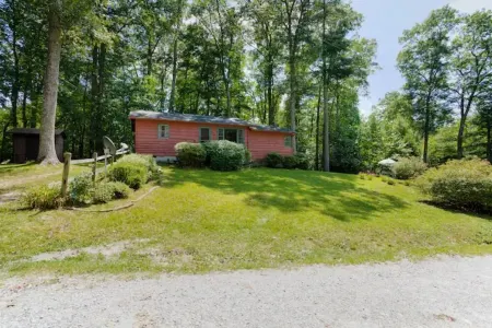 Bear Crossing at Linville Falls!