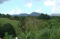 Quiet cottage in beautiful location on the edge of rainforest, Hotels in Petit-Bourg