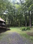 Cozy Catskills Chalet with firepit!  Peaceful setting with gorgeous views.