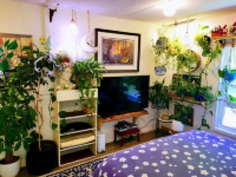 Miracles on Polly - Enchanted River Retreat