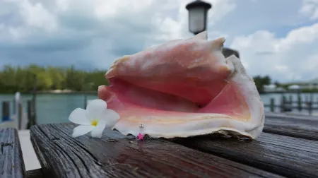 TREASURE CAY - Waterfront with dock