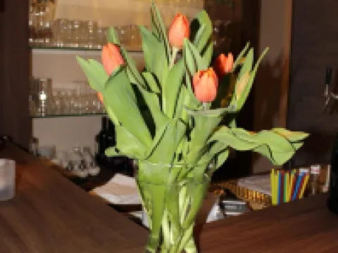 Hotel Rendsburg Hoteles en Rendsburg