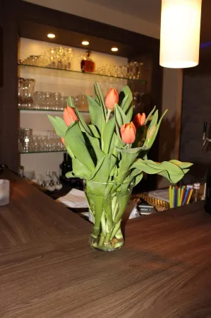 Hotel Rendsburg Отели в г. Рендсбург-Экернфёрде