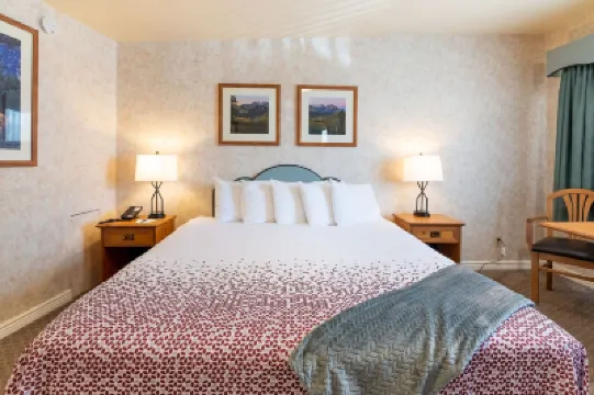 スイス アルプス イン のホテル