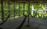 Amazon King - parkir