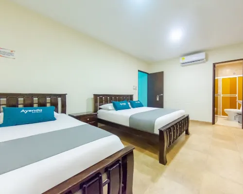 Hotel El Viajero #2 Hotels near Cano Gallery