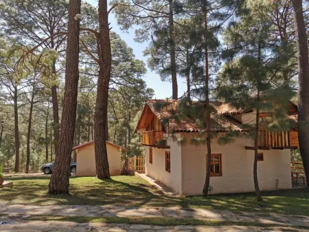 Bosque Magico Mazamitla