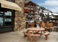Aspen Ritz Carlton 2 Bedroom Residence Club Condo - Spa