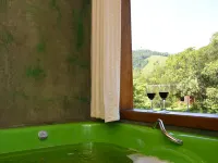 Pousada Silvestre Hotels in Visconde De Maua