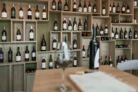 Natura Resorts - bar