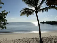 Mwazaro Beach Lodge - Beach