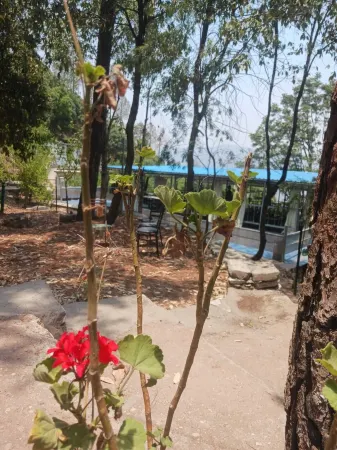 Kafal Resort Отели рядом с достопримечательностью «Golu Devta temple»