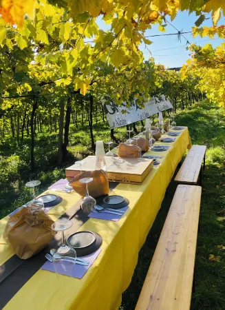 B&B Le Albare Отели в г. Монтеккья-ди-Крозара