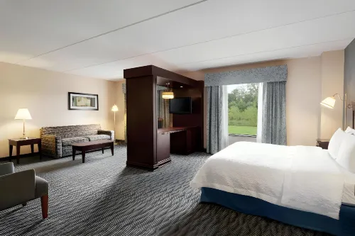 Hampton Inn & Suites Syracuse Dewitt