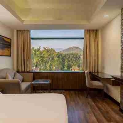 Radisson Srinagar Rooms