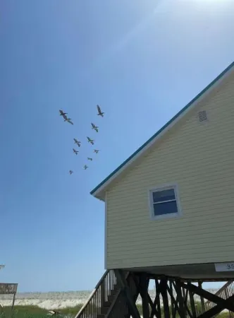 OAK ISLAND MEMORIES BEACHFRONT