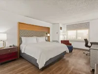 Holiday Inn TAMPA WESTSHORE - AIRPORT AREA by IHG Hotels near South Tampa