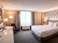 Radisson Hotel Duluth-Harborview Hotéis em Duluth
