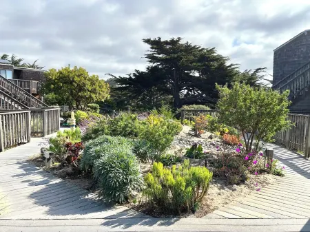 Beachfront Condo in Watsonville, CA