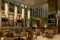 Hilton Garden Inn Chihuahua - bar