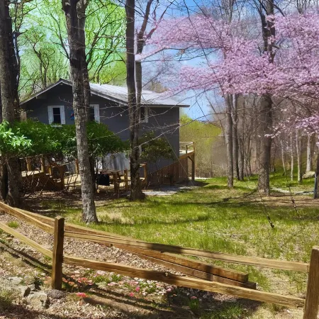 Large Deck with Beech Mtn Views/Fireplace/Pets OK/Near Hiking, Biking & Fishing