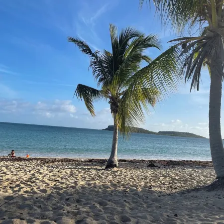Authentic 3 bedroom Vieques house, quiet neighborhood, 10 minute walk to ferry.