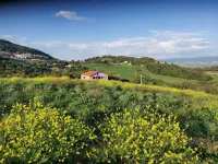 A 8 km dal mare di Castiglioncello. Perfetta combinazione tra natura e vacanza