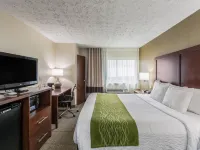 Comfort Inn Medford-Long Island Hotels in Medford