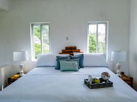 Tropical Beach Loft  w/King Bed + Sea/Mountain Views! Отели рядом с достопримечательностью «Treasure Beach»