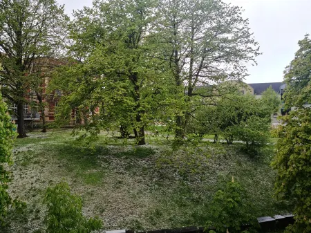 IN THE KASTANIENALLEE Spacious apartments in the city center